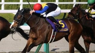 【次走】アカイトリノムスメはルメール騎手とコンビでオークスへ、サトノレイナスのダービー参戦で