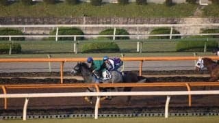 アリストテレス、天皇賞春1週前追い切り速報/栗東トレセンニュース