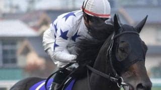 【門別競馬情報】今季もロケットスタート！先週の開幕2日間の発売額は計12億円超、計画比168.8％、前年比でも143.6％ 今夜メイン11Rは「ナダル・プレミアム」/地方競馬情報