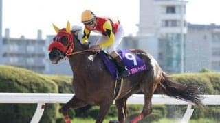 【名古屋・東海クイーンC結果】ニジイロが人気に応えて重賞2勝目