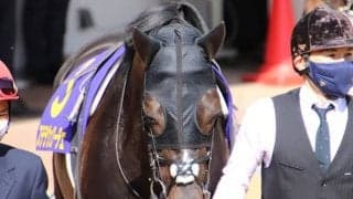 【次走】皐月賞3着ステラヴェローチェは日本ダービーへ