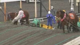 ばんえい競馬で騎手が「馬の顔蹴る」動画が問題