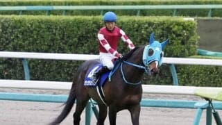 オジュウチョウサンが故障