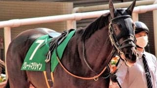 【次走】毎日杯2着グレートマジシャンは日本ダービーへ