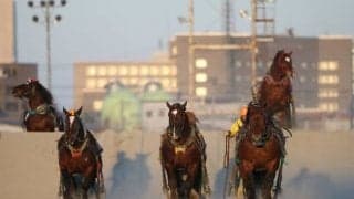 【地方競馬】ばんえい競馬能力検査における出走馬への不適切な対応について