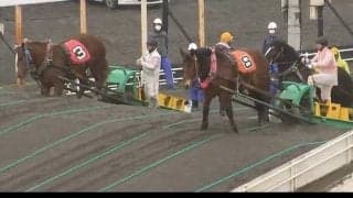 ばんえい競馬 馬の顔を蹴って抗議殺到 当該騎手は当面騎乗自粛を申し出