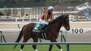 【マイラーズC展望】安田記念の前哨戦、中心になるのはあの馬