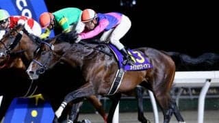 【門別競馬情報】ここから始まる古馬スプリント戦線！実績馬が勢揃い、メイショウアイアンやジャスパーシャインらに注目「アドマイヤマーズ・プレミアム」/地方競馬情報
