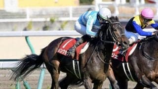 【香・QE2世C枠順確定】デアリングタクトは1番、ラヴズオンリーユーは5番ゲートからのスタート