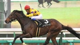 「打倒エフフォーリア」の有力候補か。青葉賞に挑むノースブリッジ