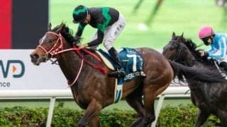 【香港・クイーンエリザベス2世C結果】ラヴズオンリーユーが海外GI初制覇！ 日本馬1-4着独占！
