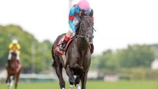 【JRA・WIN5】今週のWIN5は的中2324票、配当23万5660円