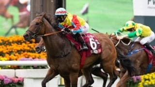 【香港・チェアマンズスプリントプライズ結果】ウェリントンが差し切りV　日本のダノンスマッシュは6着