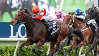 【チェアマンズSP】香港でも1番人気はダノンスマッシュ　日本ほど断然人気にはならず