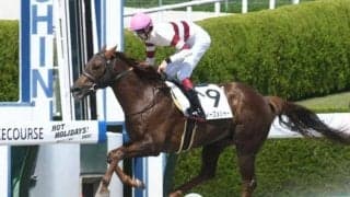 【阪神7R・4歳上1勝】単勝187.6倍ダディーズメジャーがV、9頭立て以下でJRA史上2位の高配当