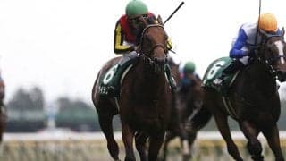 【マイラーズC】ケイデンスコールの鞍上は古川吉洋騎手に、岩田康誠騎手の騎乗停止で