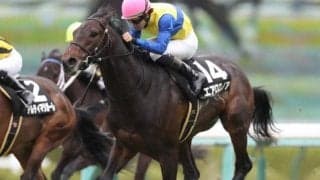 【マイラーズC予想】例年の京都⇒阪神開催変更がカギ？人気の盲点になる穴馬をタイム指数で炙り出す！