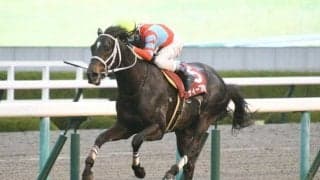 長距離GI天皇賞・春とダービーTR青葉賞/今週の競馬界の見どころ