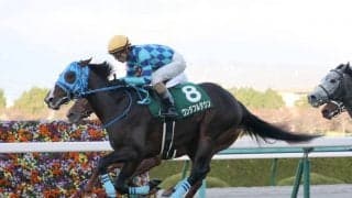 【青葉賞登録馬】ワンダフルタウンなど22頭が登録