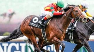 【青葉賞見どころ】キングストンボーイがダービーへの切符獲得を狙う