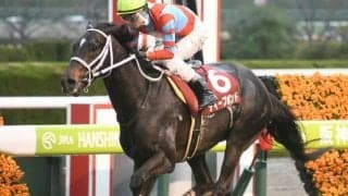 【天皇賞・春見どころ】キズナ産駒ディープボンドが春盾奪取に挑む