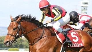 【マイラーズC】古川吉「期待通り」ケイデンスコールが重賞3勝目