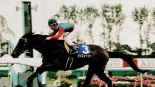 「ウマ娘」でもヒールのライスシャワー。最後はファンに愛された名馬