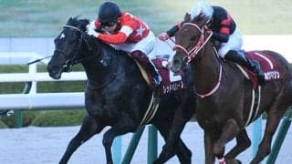 【JRA】レッドベルオーブが全治3ヶ月以上の骨折、昨年のデイリー杯2歳S覇者