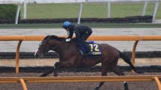 ルークズネスト、NHKマイルC1週前追い切り速報/栗東トレセンニュース