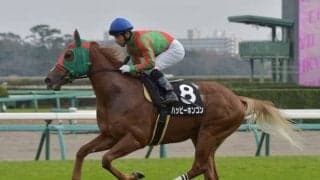【門別競馬情報】初めて古馬勢に挑むハッピーホンコン、3歳世代「ハイレベル」を示せるか注目「サッポロ生ビール黒ラベル特別」/地方競馬情報