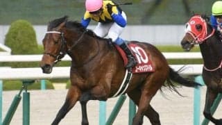 【天皇賞・春展望】阪神開催の長距離GI、あの馬の戴冠を期待したい