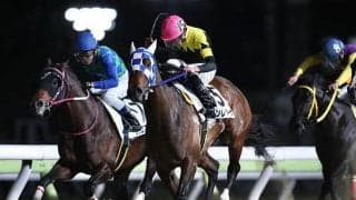 【大井・神田川オープン結果】ダノンレジーナが人気に応えての勝利