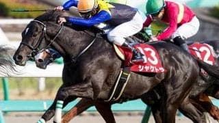 【JRA】シャケトラ、シングンマイケルなど物故馬219頭の法要を実施