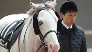 【天皇賞・春】ソダシにつづけ！ 白毛馬シロニイが7歳でGI初挑戦！/池江泰寿調教師インタビュー