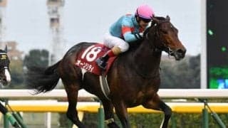 天皇賞・春の注目はオルフェーヴル産駒の２頭。長距離適性の高さに期待