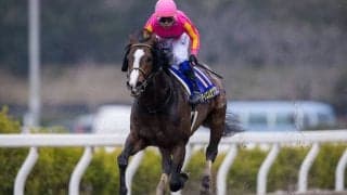 【かきつばた記念】JRA出走予定馬