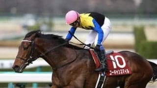 スタミナ勝負に拍車。今年の天皇賞・春は穴党記者確信の４頭におまかせ