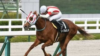 【青葉賞予想】ダービーへの試金石！ 距離適性から浮上してきた“隠れた実力馬”とは？/JRAレース展望