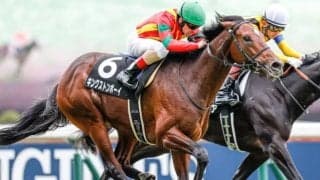 【本日の注目ポイント】東京でダービートライアル・青葉賞