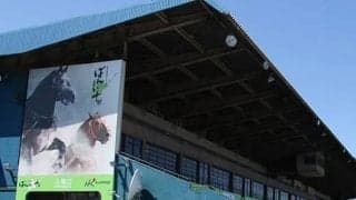 【ばんえい競馬】競走馬への不適切行為　厩務員による類似行為が新たに判明