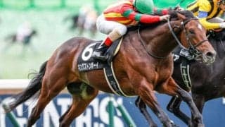 【青葉賞前日オッズ】キングストンボーイが1.4倍で1番人気