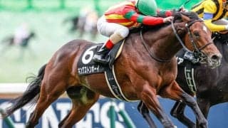 【青葉賞予想】過去10年で複勝率0!? キケンな人気馬はまさかの…/JRAレース展望 