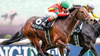 【青葉賞枠順確定】キングストンボーイは5枠10番、ワンダフルタウンは1枠2番