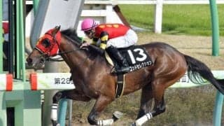 【園田・兵庫CS枠順確定】ゴッドセレクションは5枠5番、リプレーザは6枠7番