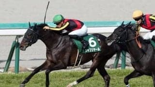 ダービーで打倒エフフォーリアの一番手か。シャフリヤールは「もっとよくなる」