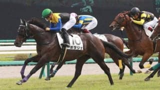 【新潟大賞典登録馬】ポタジェなど16頭が登録