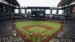 【MLB】球場デート中の2人を激撮　米国らしい“一大捜索劇”が話題「俺のデートが拡散された」