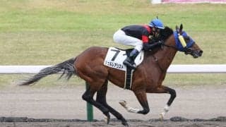 【新潟3R】オルフェーヴル産駒 シュルレアリストが初勝利