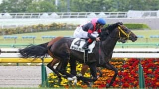 【東京7R】モーリス産駒 テンバガーが人気に応えて2勝目