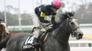 【京都新聞杯展望】ダービーに向けて注目の一戦、注目はあの馬